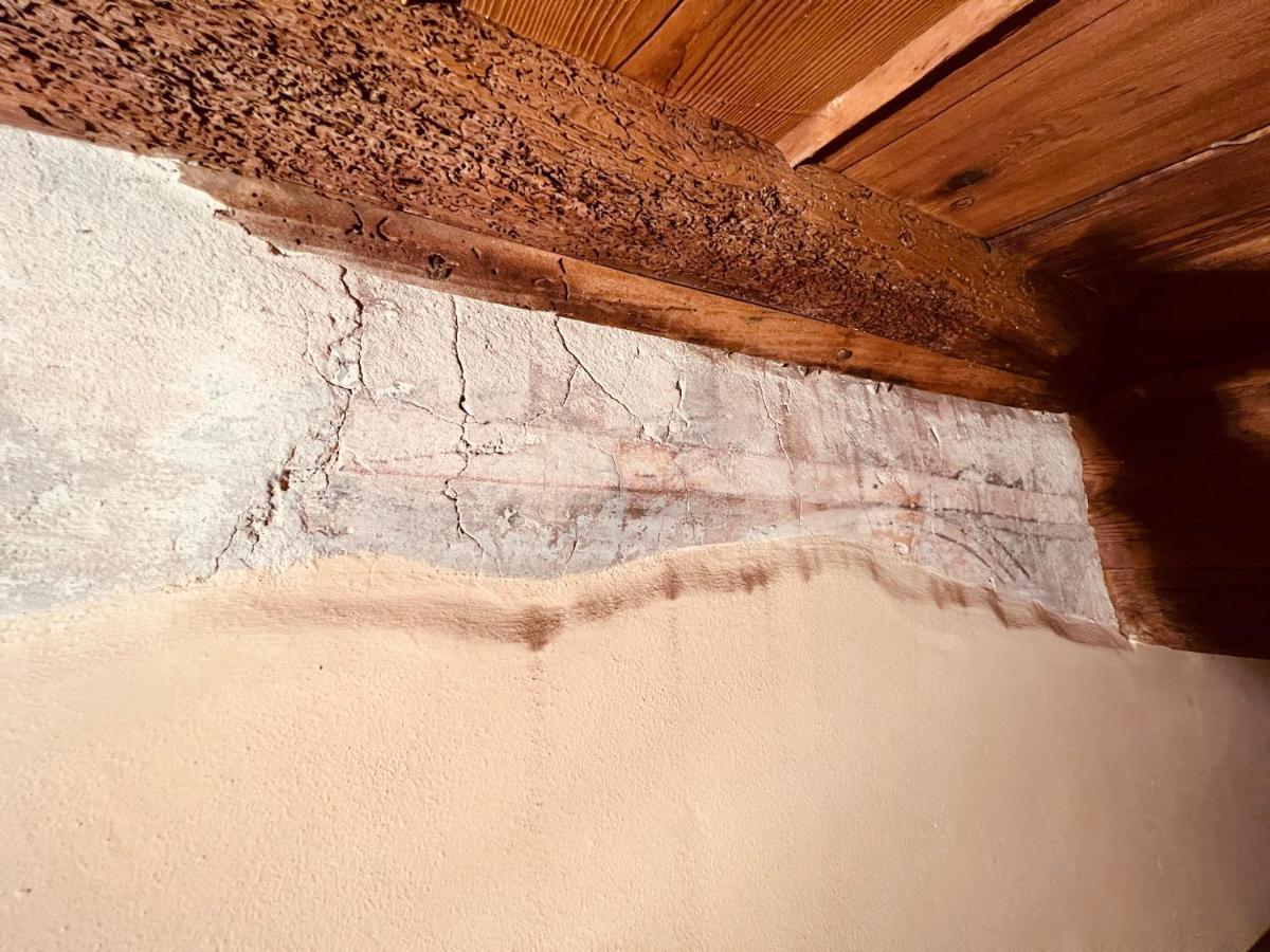 La Signoria Historic Apartment Florence Ngoại thất bức ảnh
